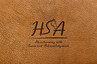 Profile picture HSA Pferdeverhaltenstherapie  (Celina Peters)