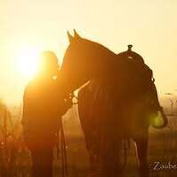 Profile picture Stephan